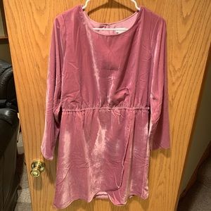 🌷BRAND NEW🌷crushed velvet dress